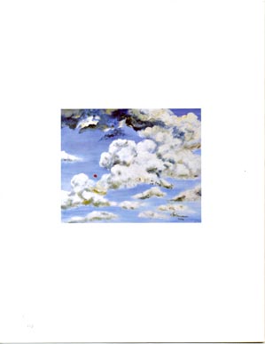 voorbeeld boek pagina 112